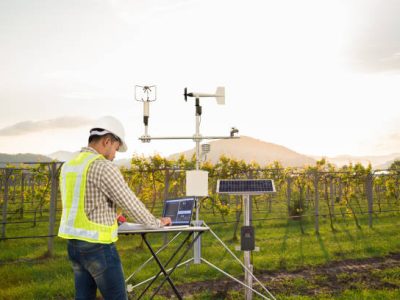 Agronomist using tablet computer collect data with meteorological instrument to measure the wind speed, temperature and humidity and solar cell system in grape agricultural field, Smart farm concept